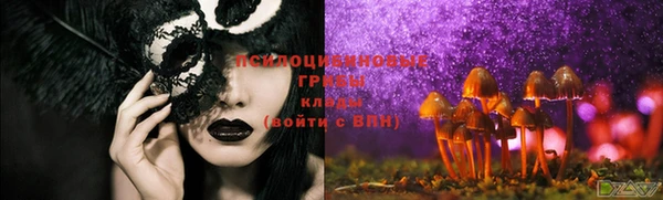 стафф Белокуриха