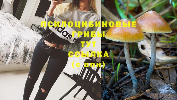 стафф Белокуриха