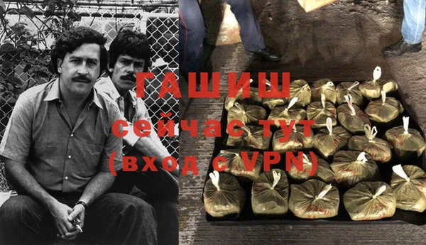 стафф Белокуриха