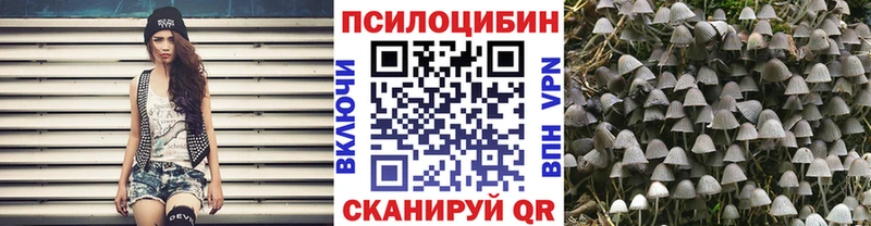 Псилоцибиновые грибы GOLDEN TEACHER  Шилка 